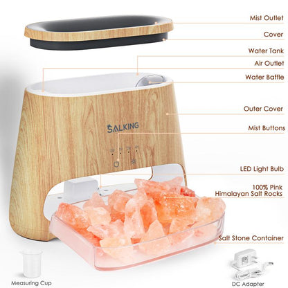 Himalayan Salt Lamp Diffuser with Cool Mist Humidifier